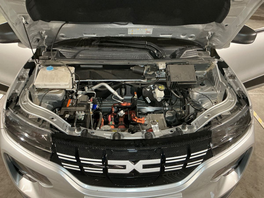 DACIA Spring Electric 45 Expression Elettrica • 45 CV (33 kW) • Automatico • 08/2023 • 28.065 km